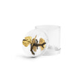 Michael Aram Kitchen Canister