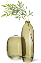 Abbott Collection Tall Bud Vase Moss Green - Glass (7.5" H)